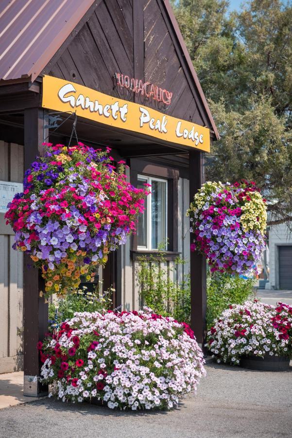 Gannett Peak Lodge Pinedale Exteriör bild